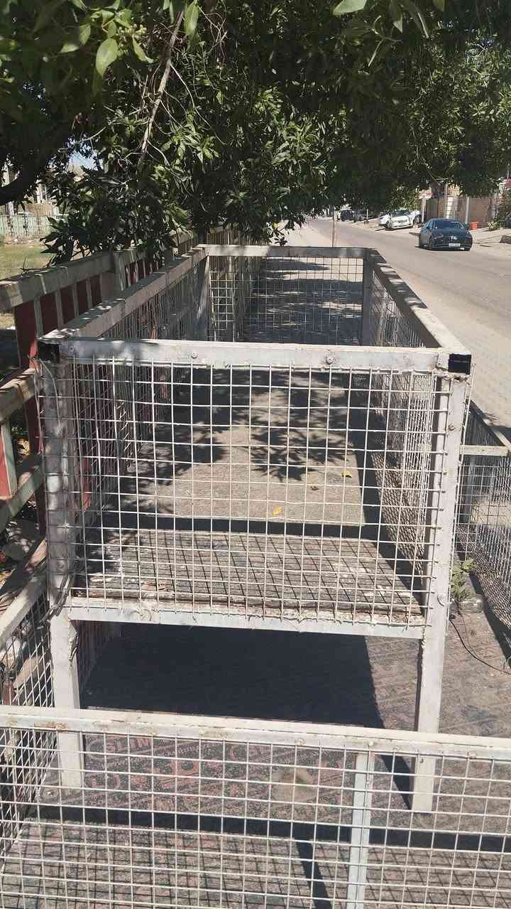 اقفاص دجاج للبيع ثنين شراي بخدمته سعرهن ،250 وهذا رقمي ***********
