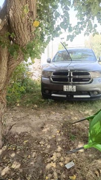 دورنكو • ٢٠١٢ • صبغ وتكحيل