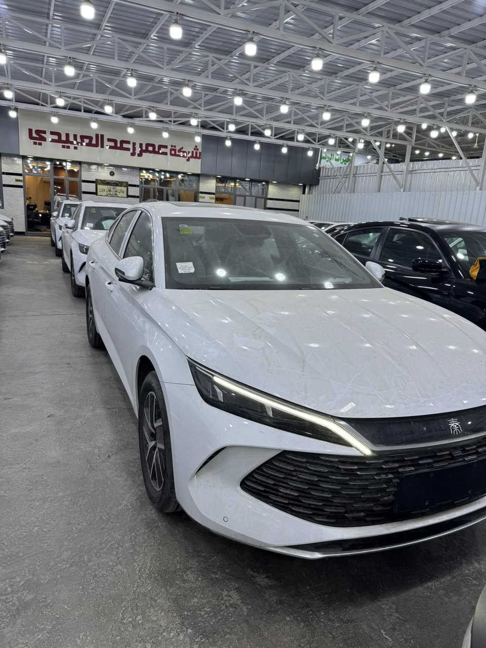 السلام عليكم
بي واي دي BYD 

كن L 

2025 

4 كامرات 

بنراما 

لون ابيض فول مواصفات 1/1 

عداد المسافه : صفر كيلو متر 

للأستفسار ***********
