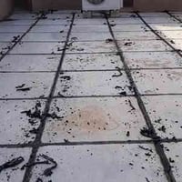 شتايكر درجة اولى • اعادات ماستك • البصرة