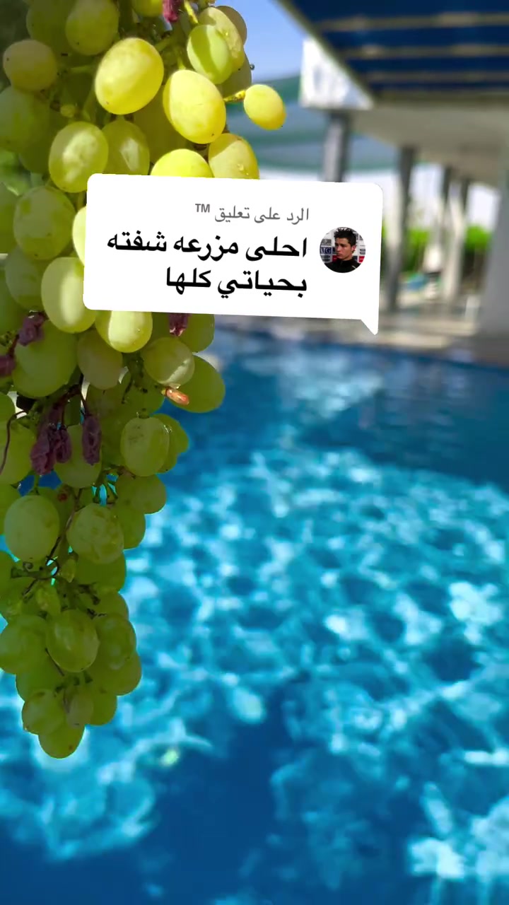 متوفره حجوزات في مزرعة الرضا 🌳🍇موقعها بلد
***********
