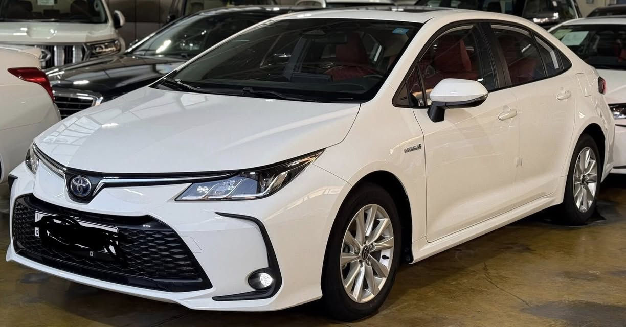 كورلاا هايبرد موديل 2024
-البيع نقد فقط-

الموديل :2024 الشكل الخليجي

المحرك : 1800 

مثبت ارقام سنوية ب اسمي الشكل الانكليزي الجديد

العداد : 13 الف كيلو متر 

المواصفات :

*سقف فتحه 

*مقعد عادي 

*صندوق كهربائي 

*تشغيل ذكي بصمة 

* انظمة قيادة متعددة 

* حساسات ضغط الاطارات 

* قطعتين تبريد 

* كشنات جلد 

* لايت زينون LED

*بك لايت LED

*شاشه كار بلي  

* كاميرا خلفية

سعر البيع 159 وبيها مجال قليل 
مكان السيارة بالفلوجة رقم هاتف ***********
