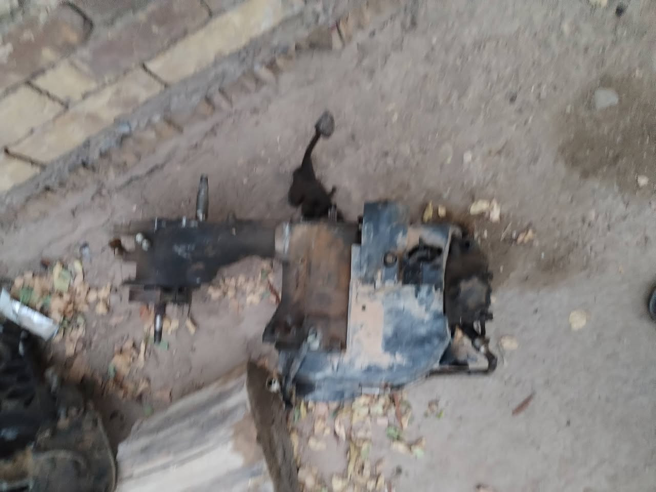السلام عليكم اثنين مكاين طابوكه مال فراشه ومال دولفين ينرادلهن تجفيت الي يفيدنه يخابر *********** مكاني الديوانيه قضاء السدير
