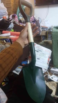 كرك قزم • سفاري