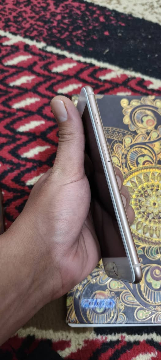 ايفون 8 بلاس ذاكره ٢٥٦ كله شغاله بس ظهر مكسر وسماعه الاتصال واكفت وباقي كله شغال مابي كل نقص قيم واخذ


**إذا كنت صاحب هذا الإعلان وتريد حذفه لأي سبب، رجاءا أرسل رسالة إلى الدعم الفني**