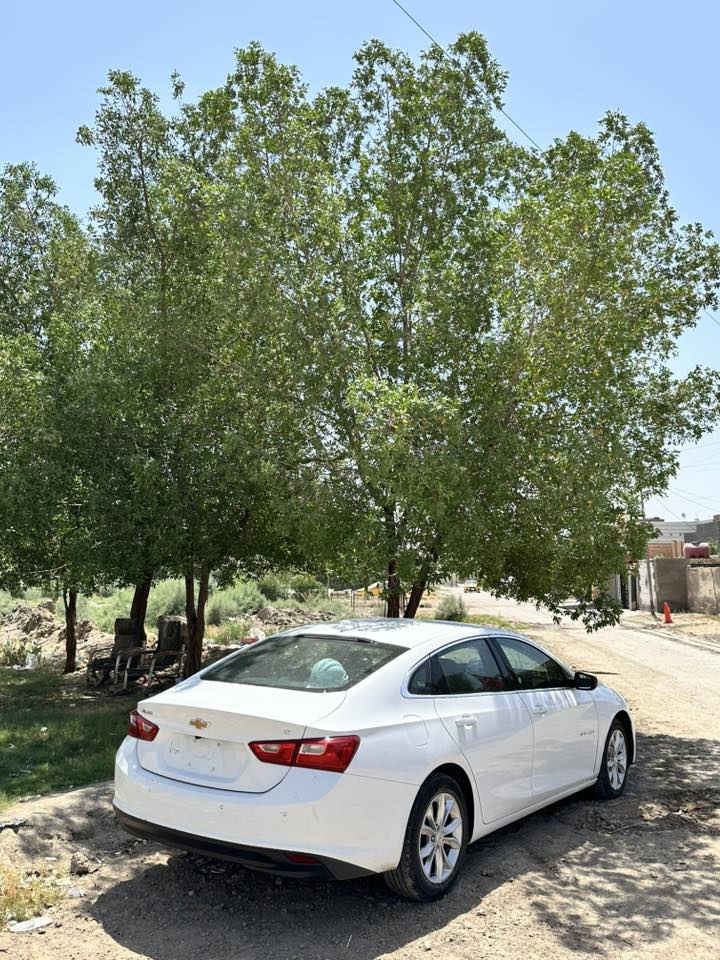 ‎🚘 للبيع شفروليه ماليبو 2024
‎🔹 المحرك: 1500T تيربو
‎🔹 الوارد: أمريكي 
‎🔹 الحالة: ممتازة جدًا، استخدام شخصي ونظيف
‎🔹 الممشى: (38km)
‎🔹 القير: أوتوماتيك ناعم
‎🔹 اللون: (ابيض)
‎
‎✨ المواصفات
‎LT1 فول ماعدا الفتحة 
‎تشغيل عن بعد
‎شاشة كبيرة + Apple CarPlay / Android Auto
‎مثبت سرعة
‎كاميرا خلفية
‎تحكم بالمقود
‎تكييف قوي
‎تدفئة كشن
‎صرفية بنزين اقتصادية
‎قيادة ناعمة وثبات عالي بالطريق
‎رادار 
‎
‎محرك وكير مكفولات 
‎السيارة جاملغ على البارد يمين السايق والبنيد مبدل الباقي شرط الفحص
‎ السعر: ($155) 
‎ الموقع: (الاسكندرية بابل )
‎📞 للتواصل: (***********)
