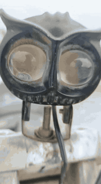 شباب دراجه اربعه قير للبيع.300__07778613643