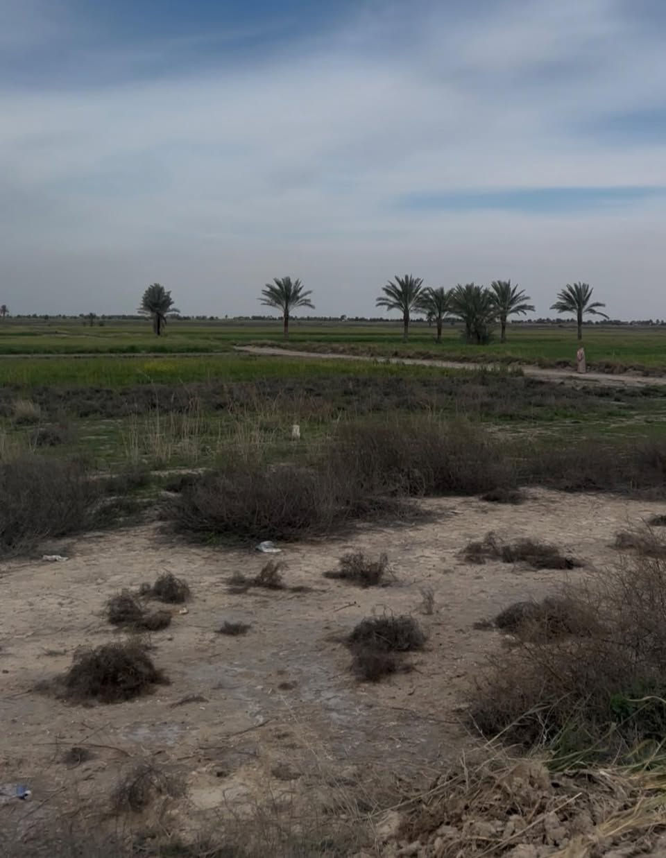 السلام عليكم عرض اليوم في منطقة شيخ عامر البوفهد دوانم للبيع بسعر مناسب موقع الأرض كلش حلو واجه دونم 50 ونزال 50 الخدمات ماء كهرباء شارع أحلى شي ماء رساله متوفر 24ساعه الأرض طابو سند 25 الاستفسار رقم ‭٠٧٨٥ ٥٧٧ ٤٦٦٦‬

