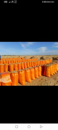 تبن • سامراء شارع الملح
