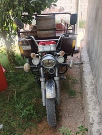 ستوته صقر للبيع 07703493678