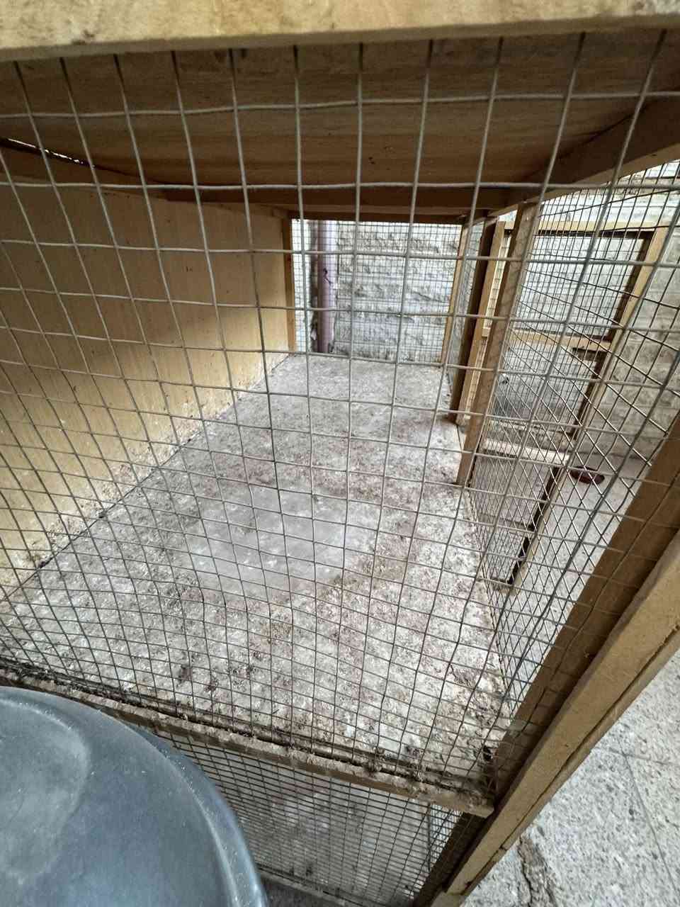 قفص للبيع
الطول 160 العرض 125 العمق 60
السعر ٦٠ الف مكاني حي الحدباء سايدين مضخه


**إذا كنت صاحب هذا الإعلان وتريد حذفه لأي سبب، رجاءا أرسل رسالة إلى الدعم الفني**