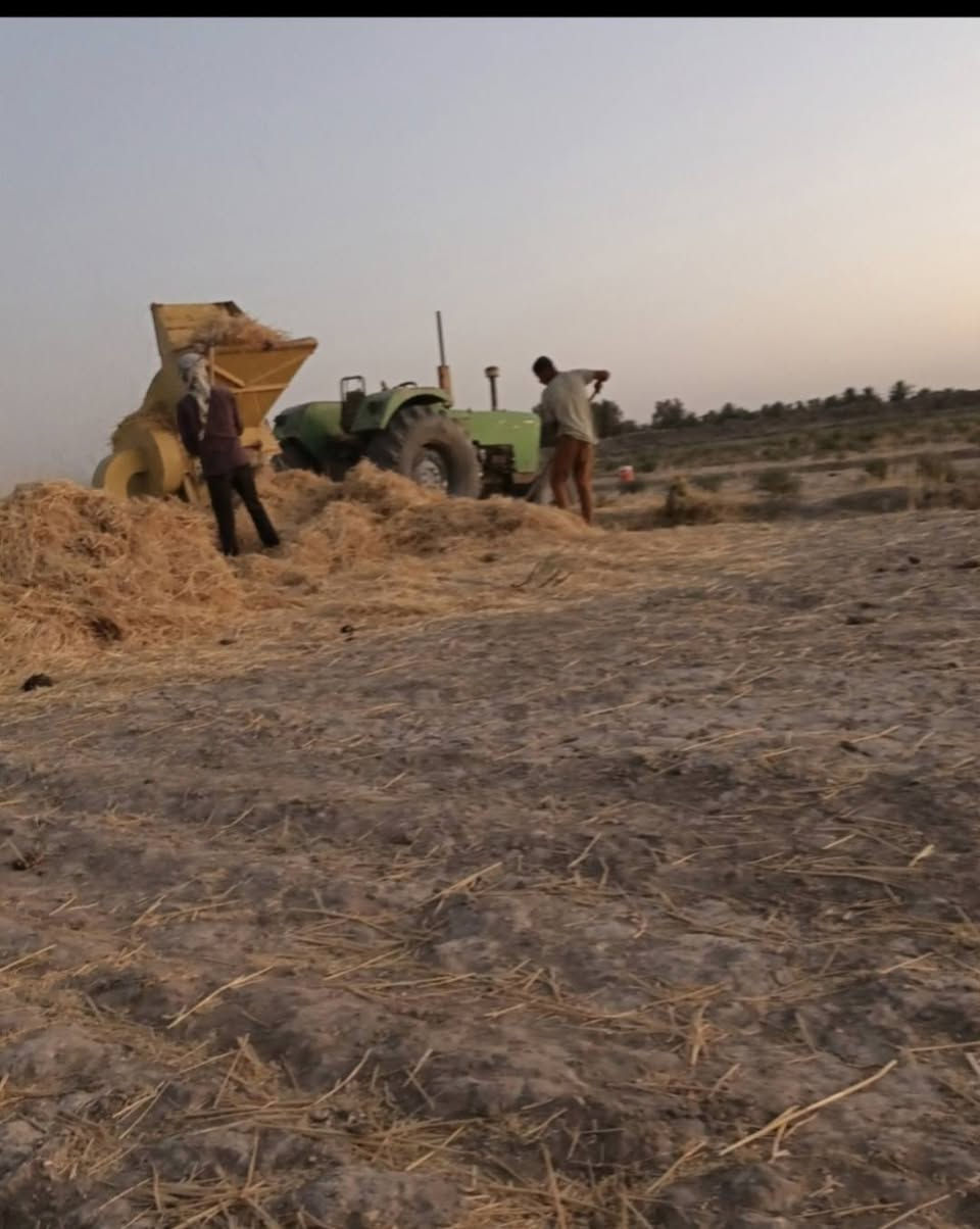 سلام عليكم يوجد كاروضه للبيع ذنون جاهزة لشغل العنوان بابل السعر مليون ونص ***********
