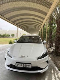 بي واي دي • ٢٠٢٥ • ٥٠٠٠ كم