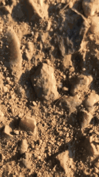 دراجه ناريه • مكينه سليمه • شاصي اوراق