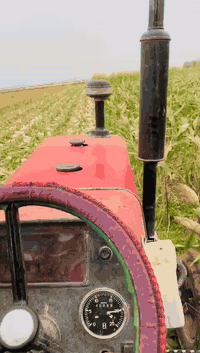 السلام عليكم اهل الحويجة
حاصدة اذره جانيه شغالة للبيع 
او مراوس بعنتر 
أو بسيارة قديمةة بس كون تشتغل 
***********
