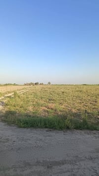 دونمين واجها ٤٠ في بغداد / الدوره/ الزنبرانية  طابو  سند ٢٥  مستعجل عل...