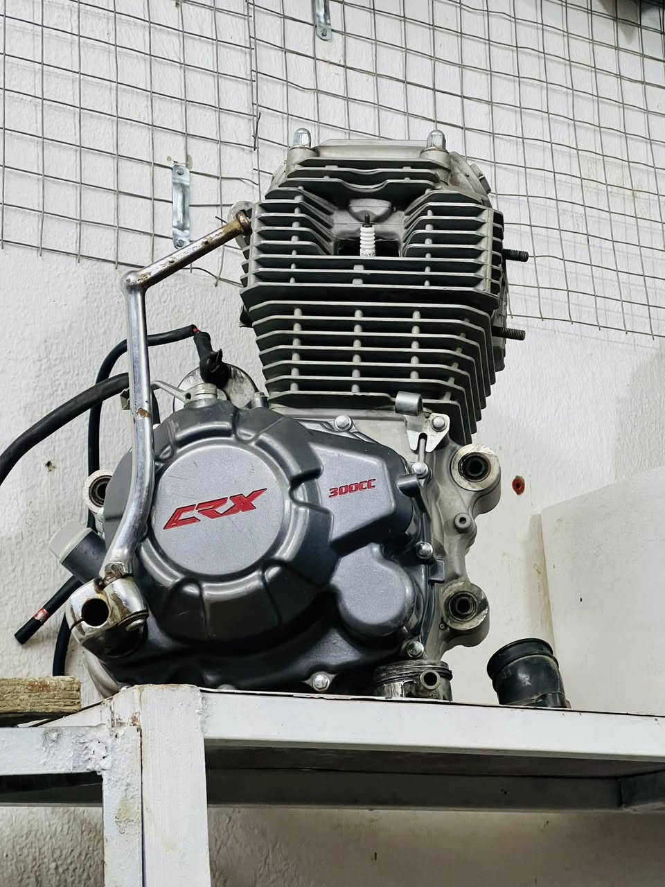 السلام عليكم مكينه قفاز حجم 300ccمكفوله لاتنقص ولاتبخر وياه عقل وكابريتر الشراي ***********
