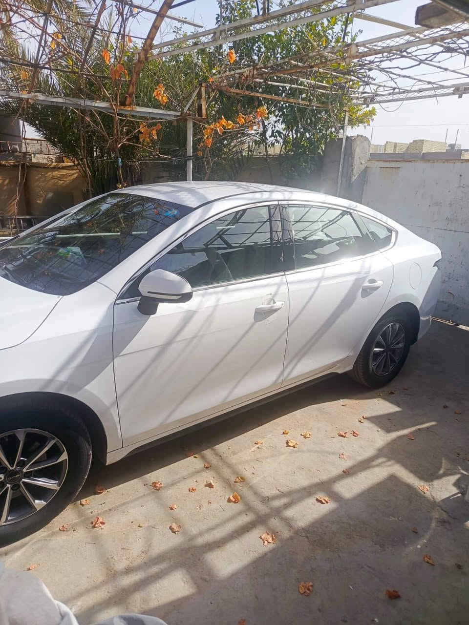 BYD 2025 دسترويل ماشية ٨٠٠ زيرو وضع الشركه سعر ١٩ مليون
***********
