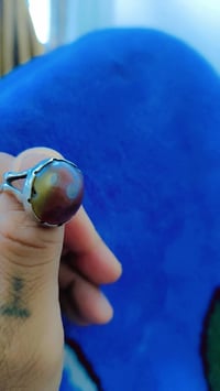 محبس • مشروط • قضاء النصر