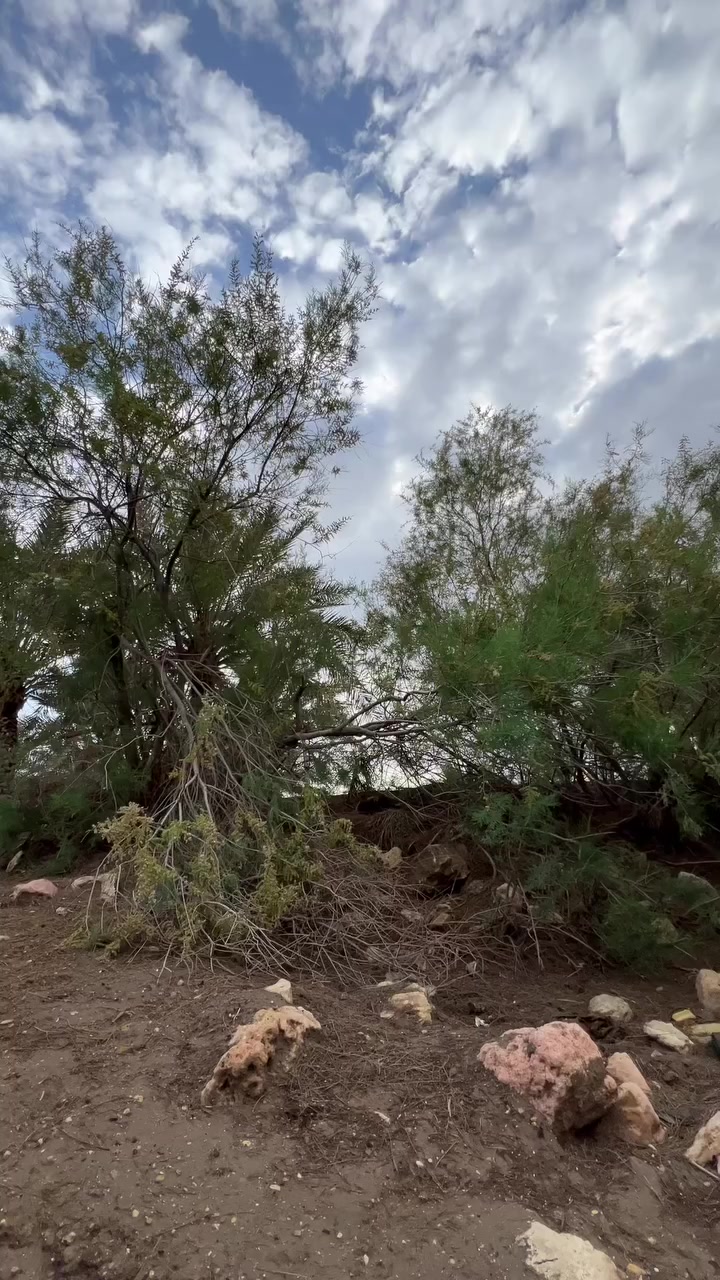 وينه الي يكول اجهزه الاندرويد
موقويه بتصوير الفديو


**إذا كنت صاحب هذا الإعلان وتريد حذفه لأي سبب، رجاءا أرسل رسالة إلى الدعم الفني**