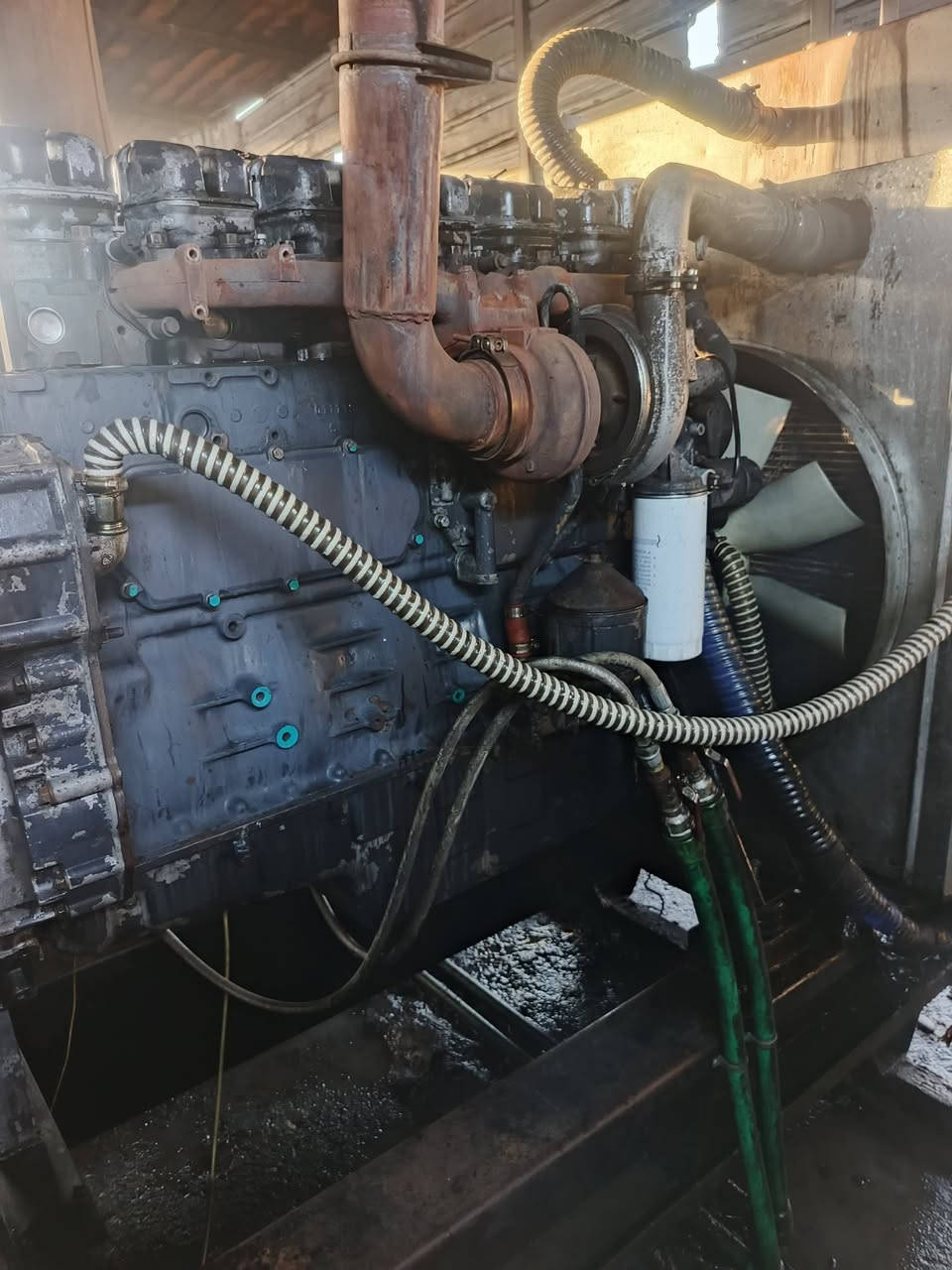 اسكانيه 124 سايس 20 لا صرف ولا بخار   راس توليد 350 السعر 55 ورقة  ***********
