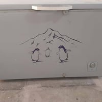 مجمدة • نضيفه • الحولي