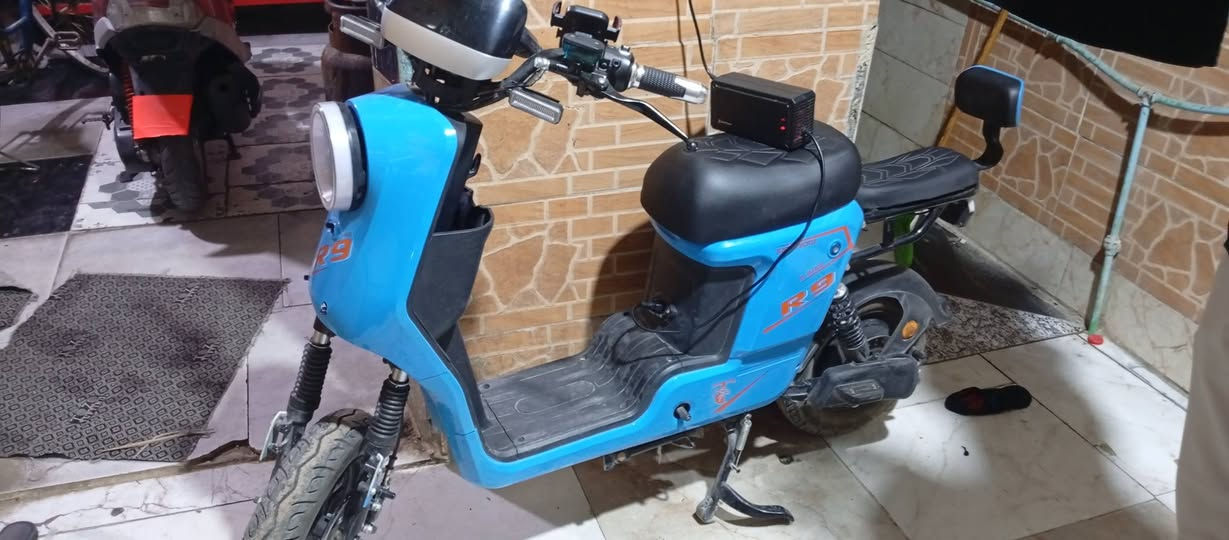 550/***********
