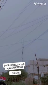 نضافه • شراي • سوك الشيوخ