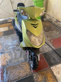 شباب سكنس فحل نوزل دراجه نضيفه  للبيع او مراوس 07713892389 واتساب فقط ...
