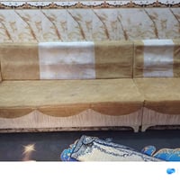 تخم ديواني • نضيف • الديوانية