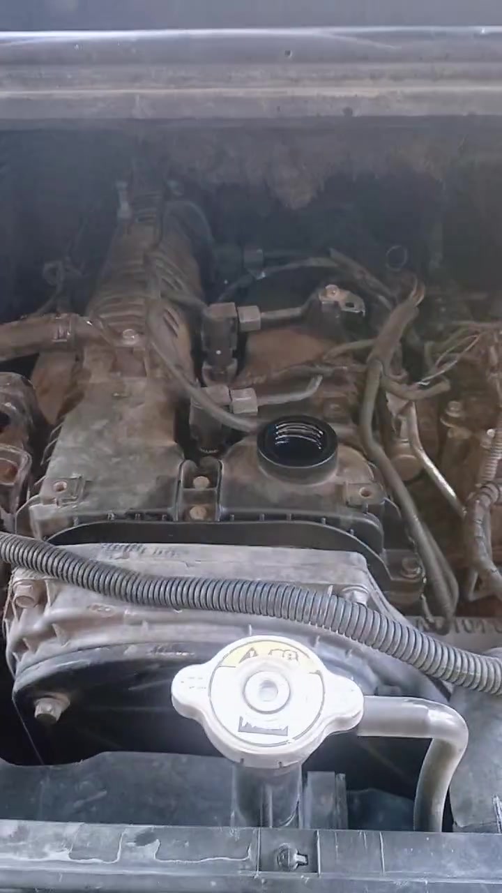 سفسار عل رقم ***********✨✅
