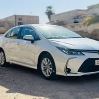 كورلا • ٢٠٢٠ • اربيل بسمي