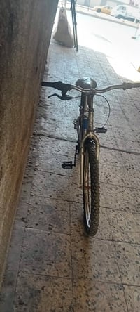 باسكل • للبيع