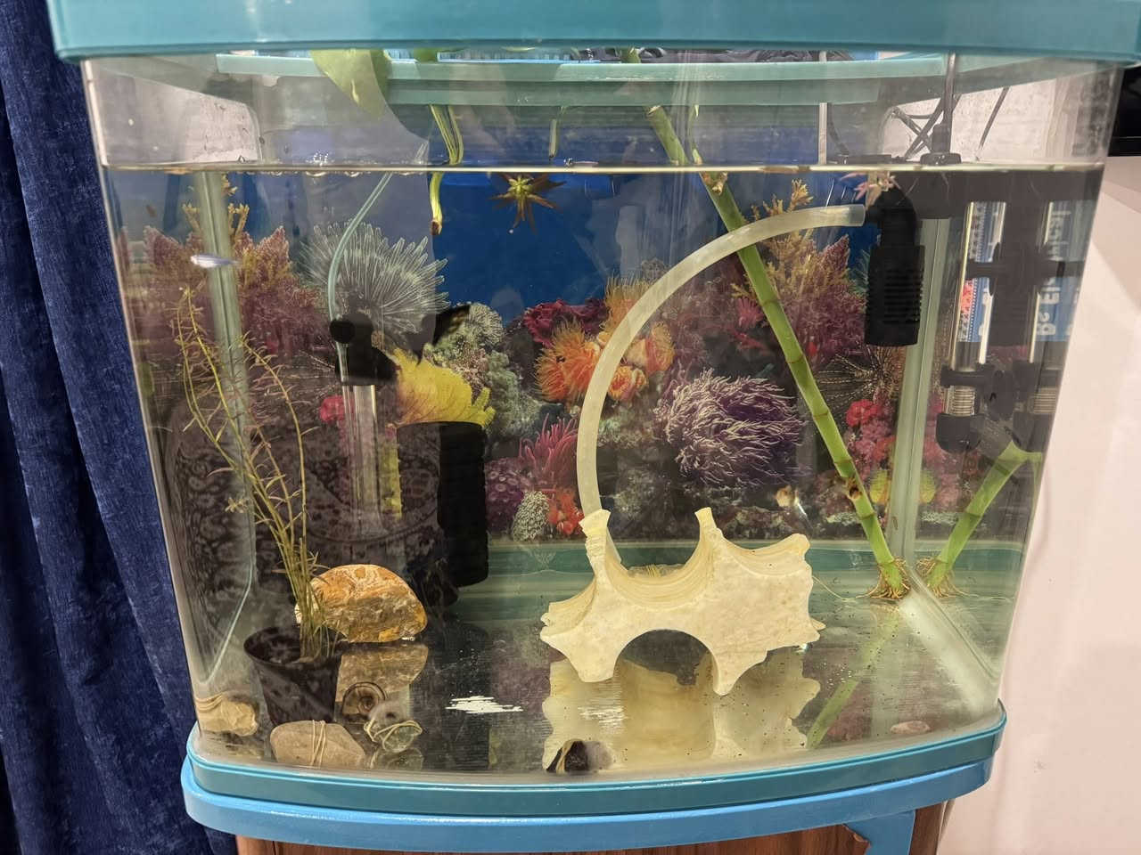 حوض سمج نظيف هو وغراضه ب 60 الف مكان خانقين


**إذا كنت صاحب هذا الإعلان وتريد حذفه لأي سبب، رجاءا أرسل رسالة إلى الدعم الفني**