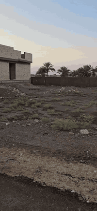 حله • ٥٠٠م • طابو زراعي سند ٢٥