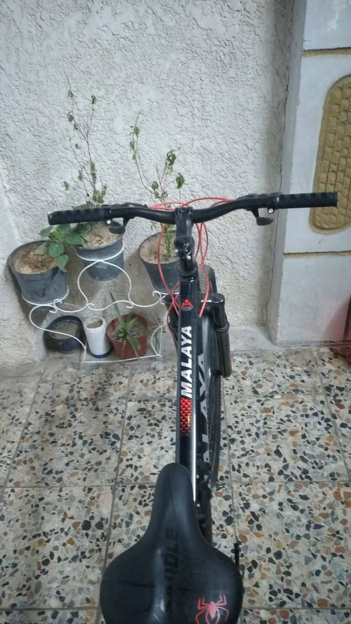 للبيع تعال خاص


**إذا كنت صاحب هذا الإعلان وتريد حذفه لأي سبب، رجاءا أرسل رسالة إلى الدعم الفني**