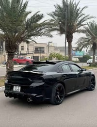 جرجر • ٢٠٢١ • فول مواصفات