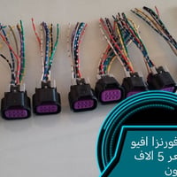 فيشة جويتر • فورنزا • أفيو أمريكي
