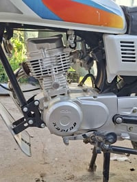 رابيدو ٢٥ • انتنس ٢٤ • كلمن