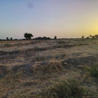 ارض زراعيه • اصلاح زراعي • بابل الحمزه الغربي