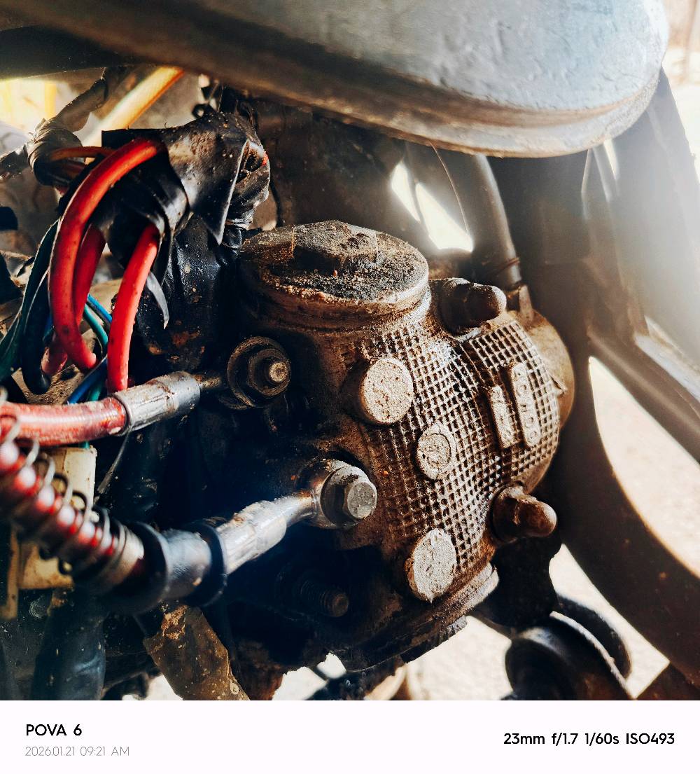 سماوه عصافير