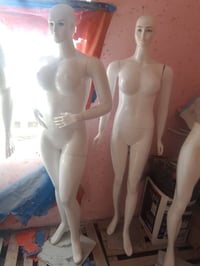 ملكانات للبيع نضيفات كلش الكبار علة 75 وبيهن مجال وهدية ملكان نص والبا...