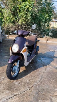 دراجة • جديد وكالة • الحلة مركز