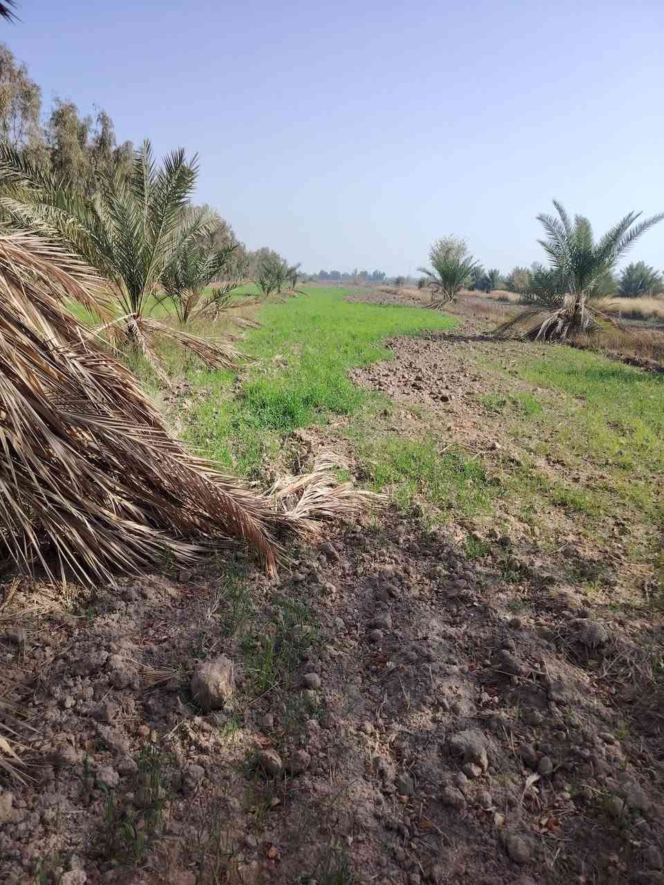 11 دونم لبيع طريق السنية قرب معمل الزفت قبلا تعبر الشط قابلة لسكن ***********
