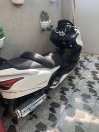 فورزة • ٢٠٠٨ • رايده