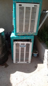 قشر • عدد ٢ • نظيف