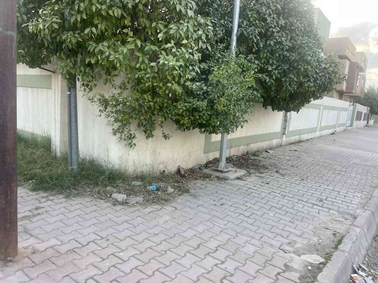 (( بسم الله الرحمن الرحيم ))

        *️⃣ بيت طابقين ركن قديم للبيع *️⃣

المساحة  :  375 م  ركن 

الواجهة  : 25  *  15  م 

الموقع. : واسطي خلف المعوقين 

جنس العقار  :  طابو صرف 

السعر يرجى مراسلة الصفحة او الاتصال على ارقام المكتب 

***********  📞

***********  📞

البيت الجديد  للاستثمار العقاري والمقاولات العامة
