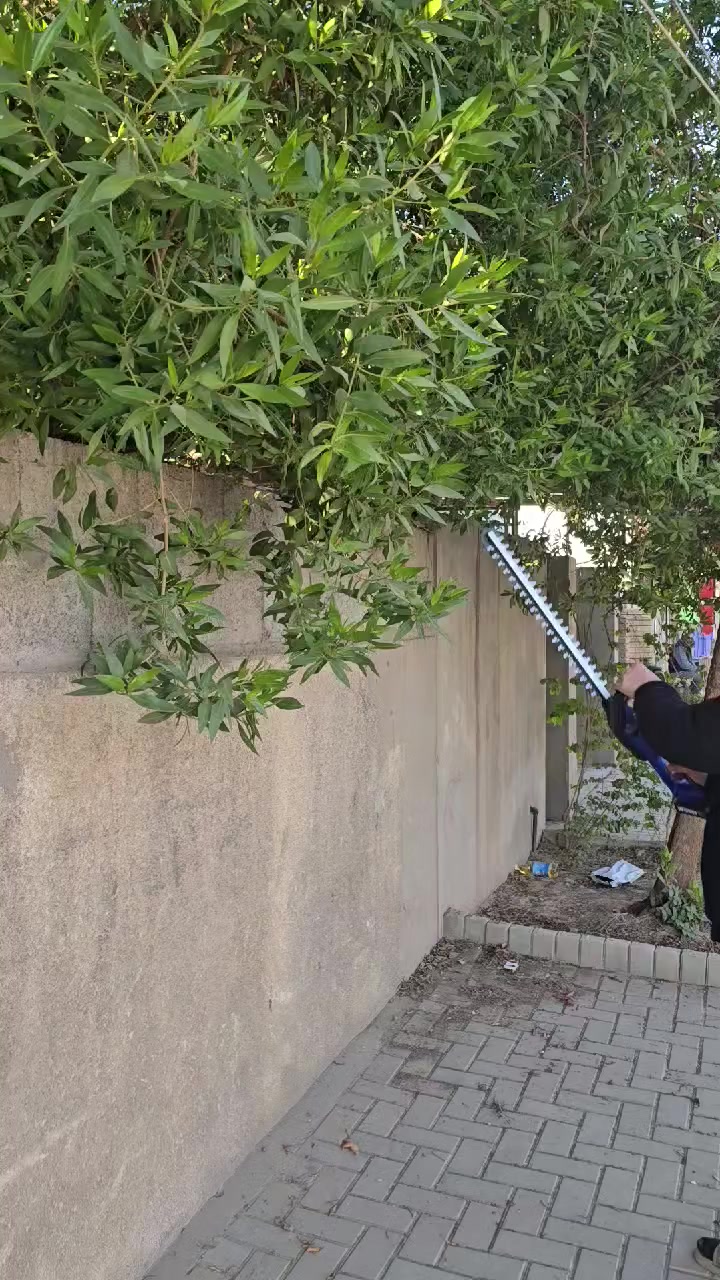 تقليم اشجار شحن من ماركه XU1 الاستراليه 
شحن قوي جدا  
يجي بقوه 18 فولت حقيقي
قامه طول اكثر من 50 سم
يوجد توصيل كل العراق 

هاتف ***********

عنوان بغداد دوره شارع معلمين مقابيل تربية الدوره
