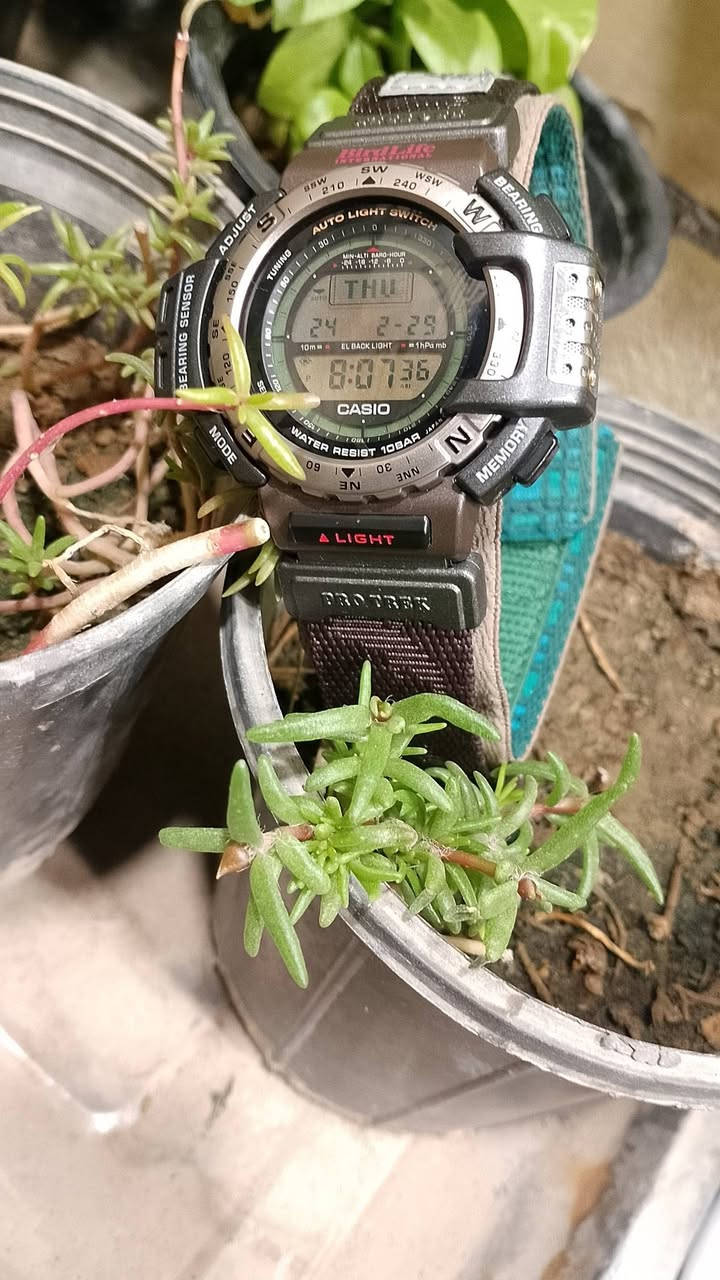 Casio Pro Trek PRT-40  
كاسيو بروتريك اصدار خاص ومحدود انتاج اليابان 1996
 بالتعاون مع منظمة BirdLife International (الحياة البرية). تتميز هذه الساعة الكلاسيكية، التي تعود لفترة التسعينيات، بكونها مخصصة للأنشطة الخارجية والاحترافية بفضل تزويدها بـ "المستشعر الثلاثي" (Triple Sensor). 
أهم المواصفات والميزات:
المستشعر الثلاثي: يتضمن بوصلة إلكترونية (Digital Compass)، ومقياساً للضغط الجوي (Barometer) مع مقياس للارتفاع (Altimeter)، ومستشعراً لدرجة الحرارة (Thermometer).
التصميم والإصدار: تحمل شعار "BirdLife" فوق الشاشة ومطبوعاً على الحزام، وهو إصدار نادر لهواة الجمع.
مقاومة الماء: تتمتع بمقاومة للماء حتى عمق 100 متر (10 BAR).
وظائف إضافية: تشمل إضاءة خلفية تلقائية (Auto Light Switch)، وخمسة منبهات يومية، وتقويماً كاملاً، وتنسيق وقت 12/24 ساعة.
التصميم والمواد: تأتي الساعة بهيكل من الراتينج/البلاستيك والفولاذ المقاوم للصدأ، وشكل دائري، وشاشة عرض رقمية. 
تتميز بحافة قابلة للدوران باتجاهين تستخدم كبوصلة لتحديد الاتجاهات
نظافة تامة


**إذا كنت صاحب هذا الإعلان وتريد حذفه لأي سبب، رجاءا أرسل رسالة إلى الدعم الفني**