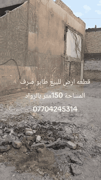 الدورة الرواد • ١٥٠م • طابو